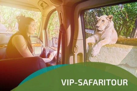 safaripark stukenbrock vip safari